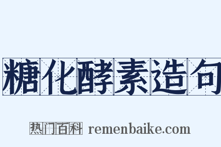 糖化酵素造句是什么意思的图片